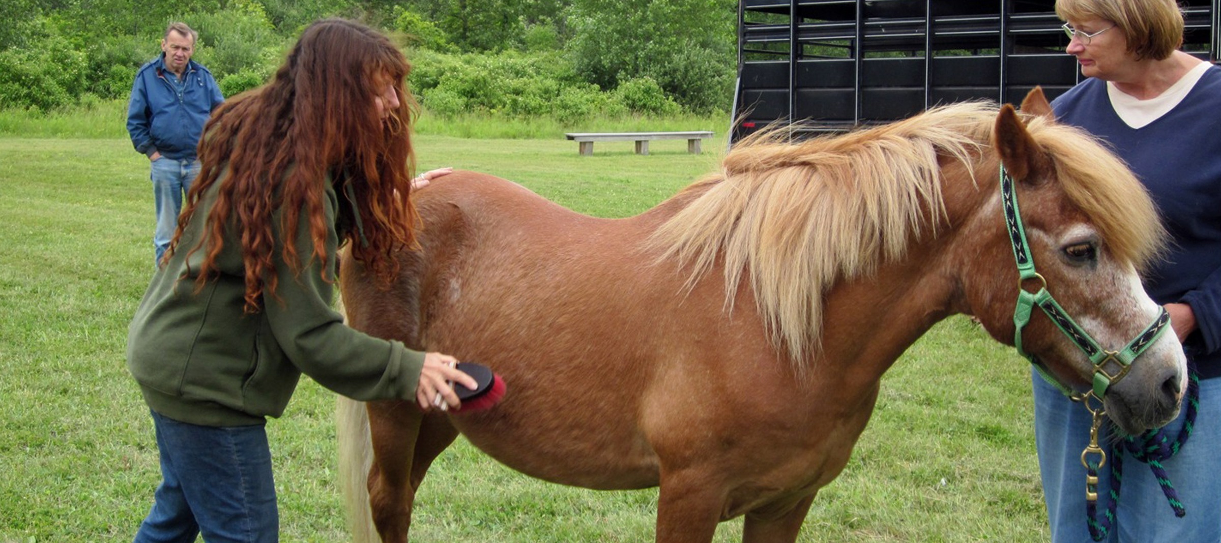 Home - Pony Rides R Us!